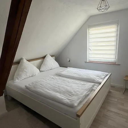 Lina * Longkamp